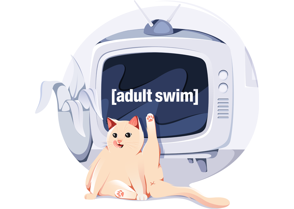 Adult Swim in Nederland streamen met VPN Nederland