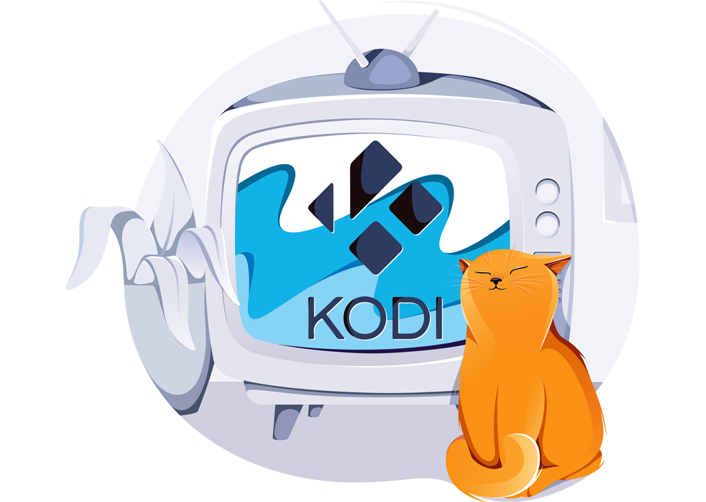 Beste VPN voor Kodi